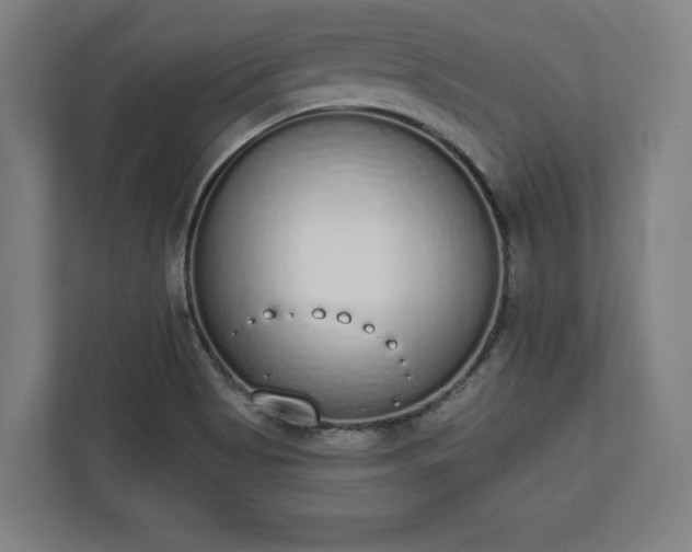 X0000110861513200906251158