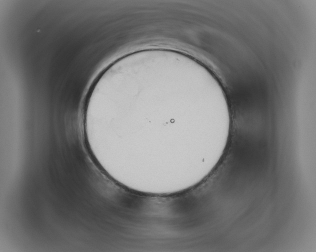 X0000110861514200906251158