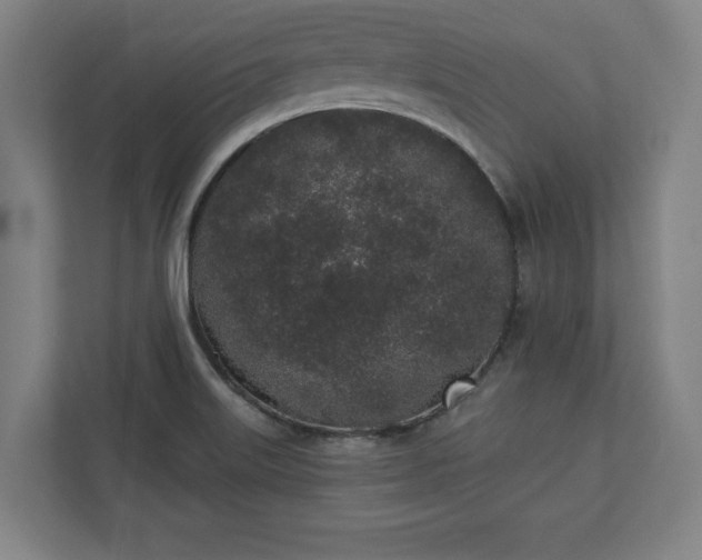 X0000110861515200906251158