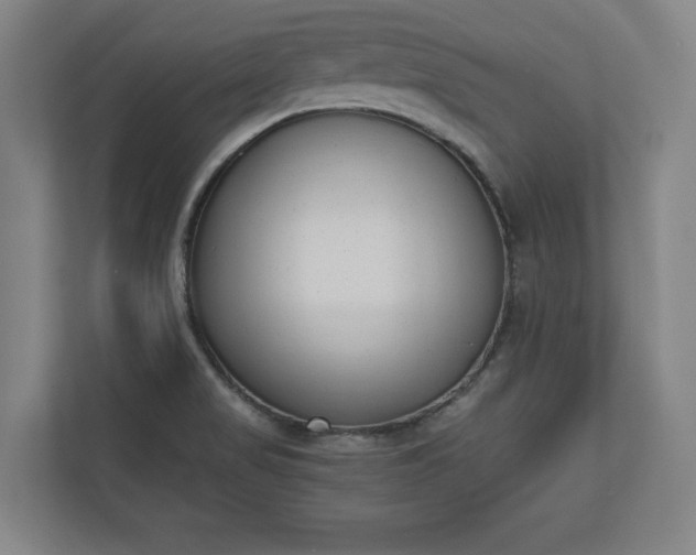 X0000110861517200906251158