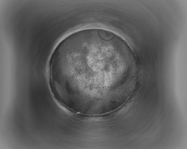 X0000110861519200906251158