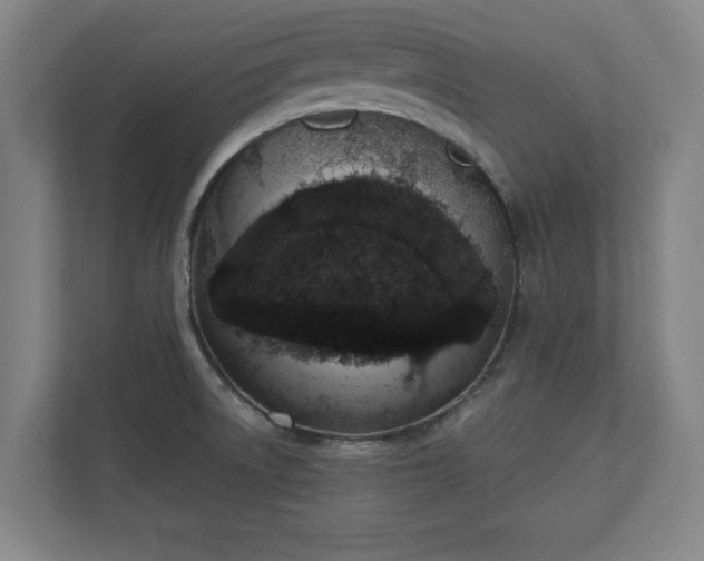 X0000110861522200906251158