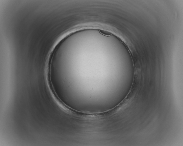 X0000110861523200906251158