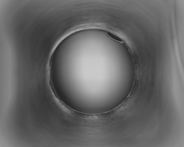 X0000110861524200906251158