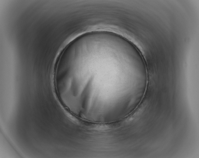 X0000110861525200906251158