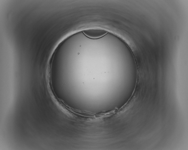 X0000110861526200906251158