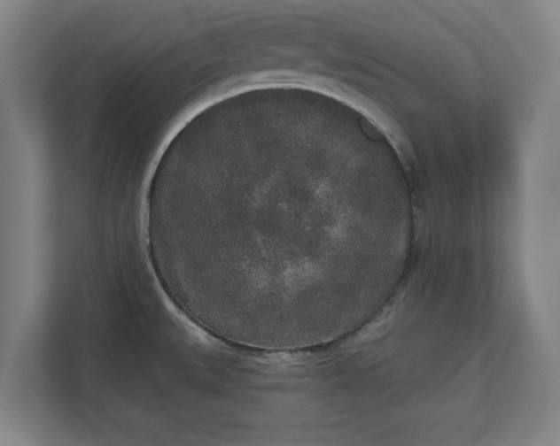 X0000110861527200906251158