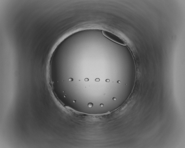 X0000110861528200906251158