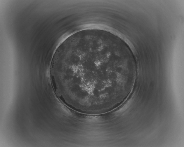 X0000110861529200906251158