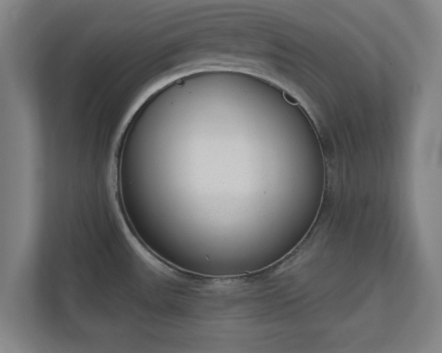 X0000110861531200906251158