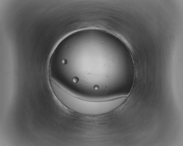 X0000110861532200906251158