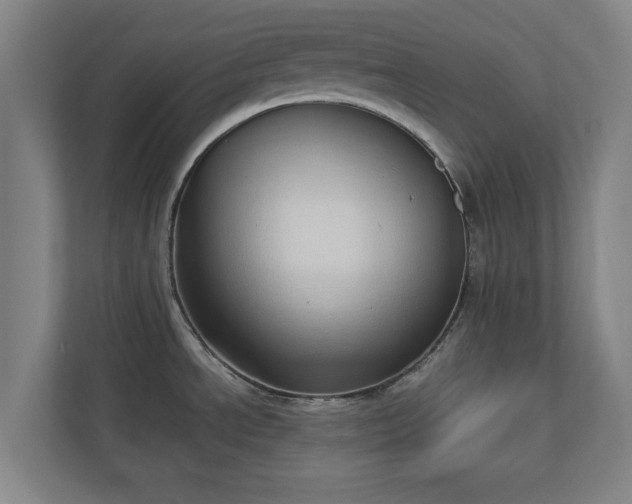 X0000110861534200906251158