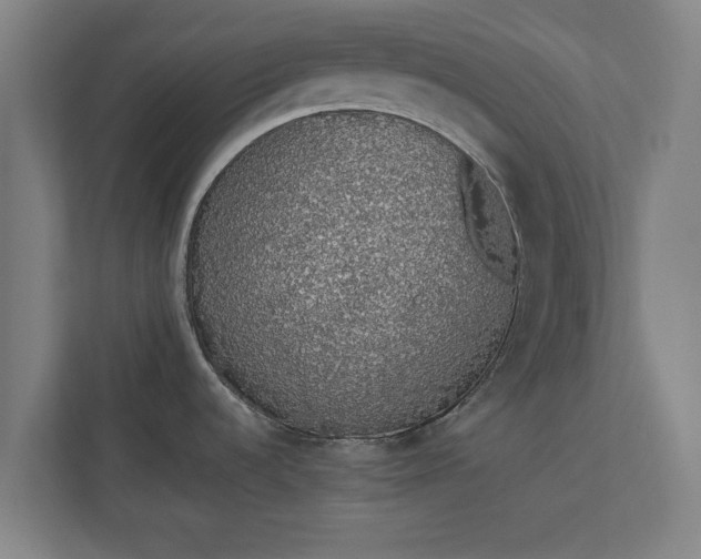 X0000110861536200906251158