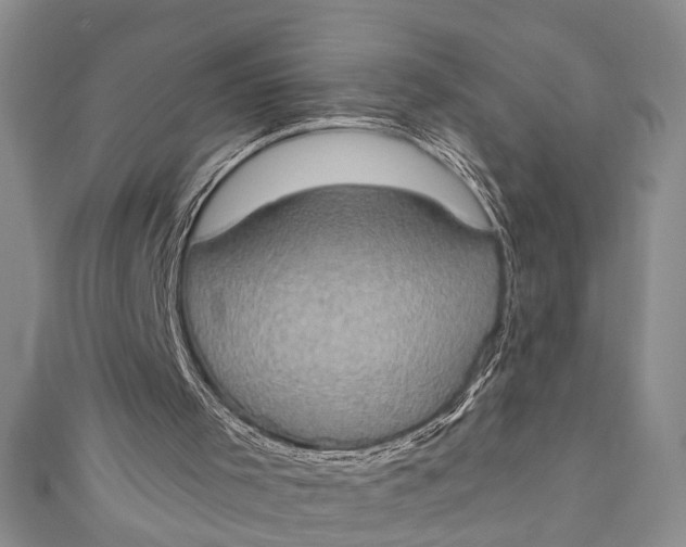 X0000110860001200907021425