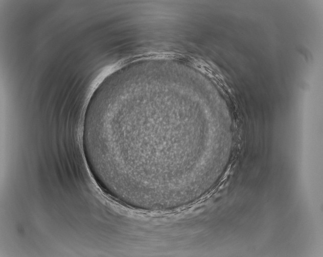 X0000110860003200907021425