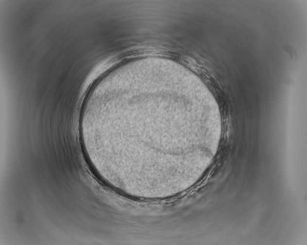 X0000110860004200907021425