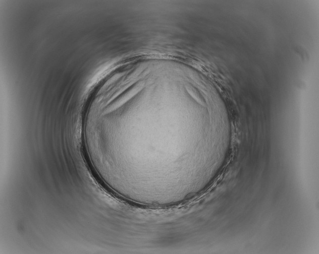 X0000110860005200907021425