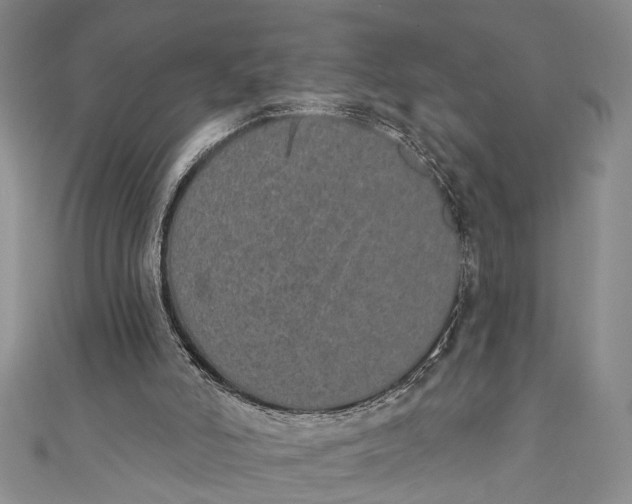 X0000110860006200907021425