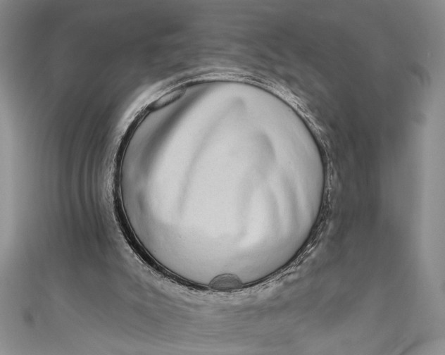 X0000110860007200907021425