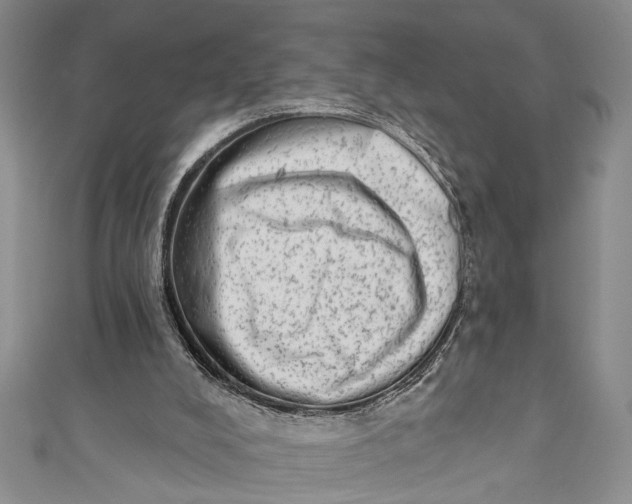 X0000110860008200907021425