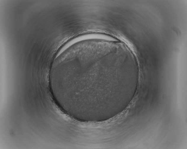 X0000110860009200907021425