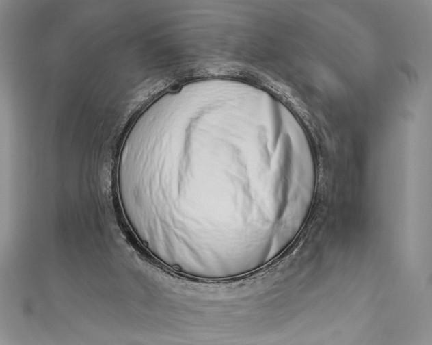 X0000110860010200907021425