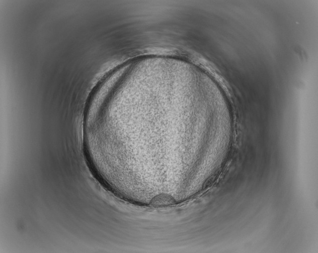 X0000110860011200907021425