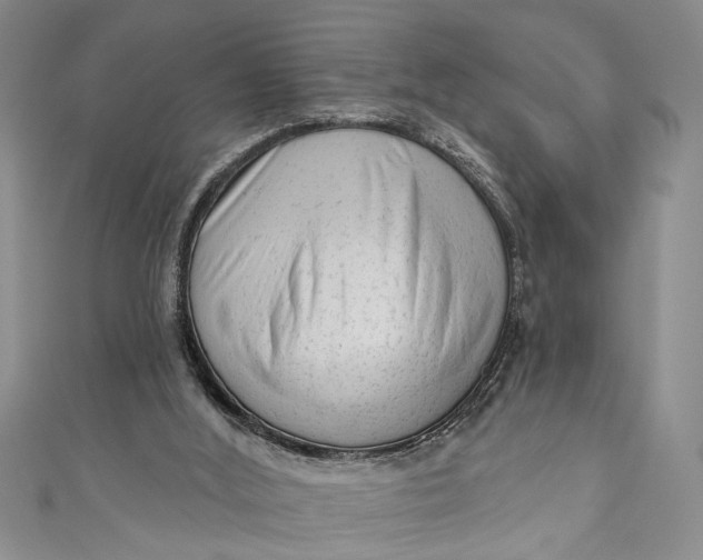 X0000110860012200907021425