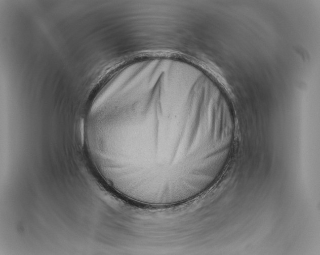 X0000110860013200907021425