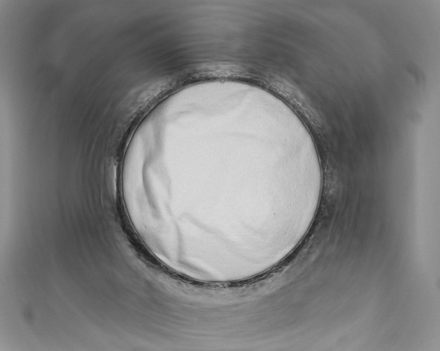 X0000110860014200907021425