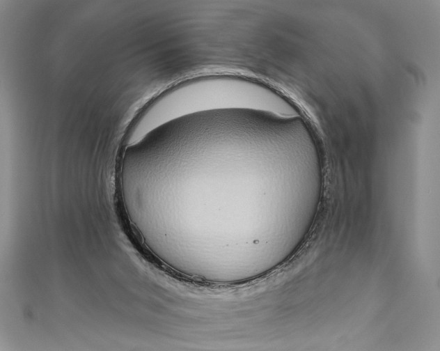 X0000110860015200907021425