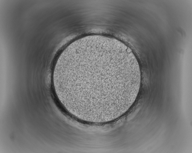 X0000110860016200907021425