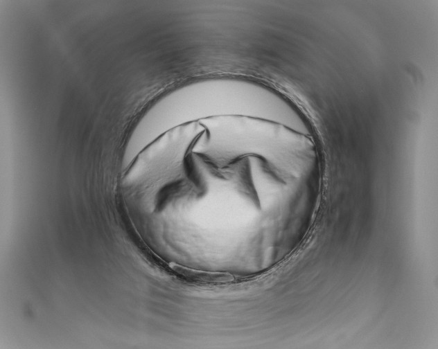 X0000110860017200907021425