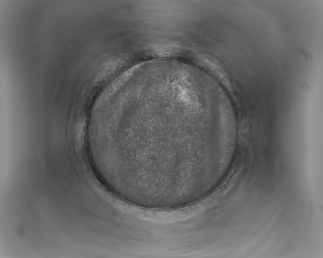 X0000110860018200907021425