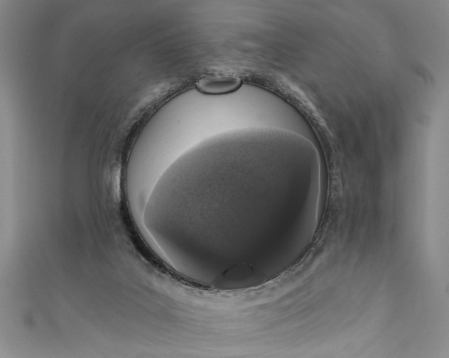 X0000110860019200907021425