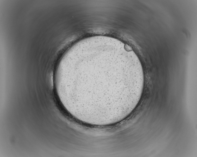 X0000110860020200907021425