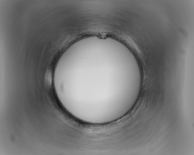 X0000110860021200907021425