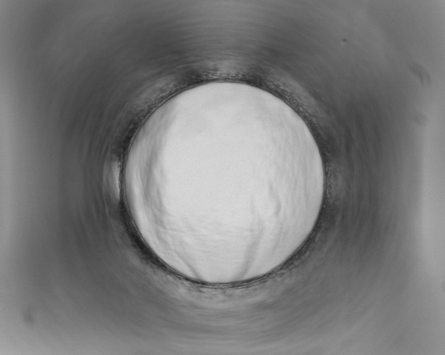 X0000110860022200907021425