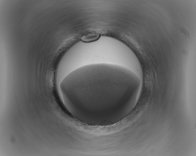 X0000110860023200907021425