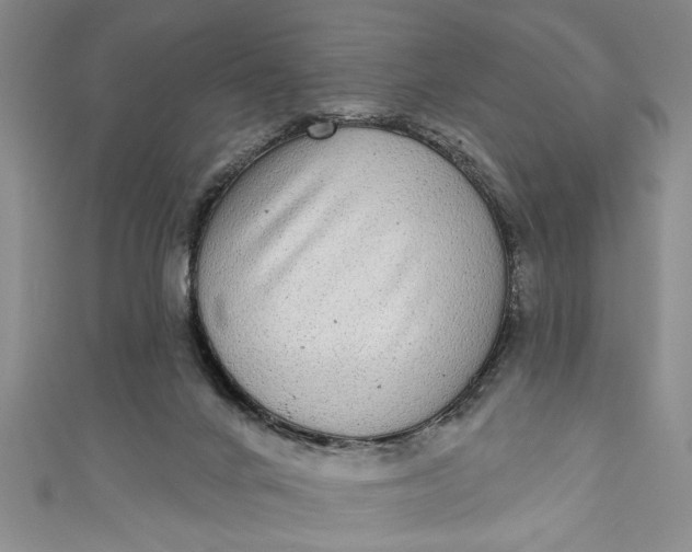 X0000110860024200907021425