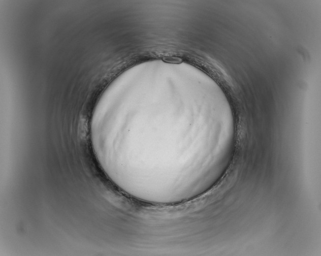 X0000110860025200907021425