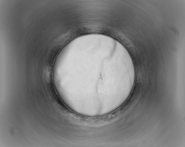 X0000110860026200907021425