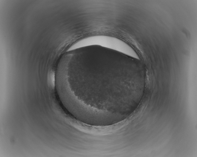 X0000110860027200907021425