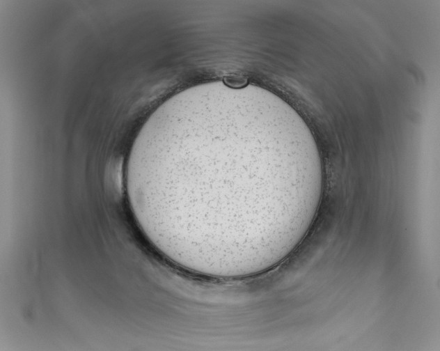 X0000110860028200907021425