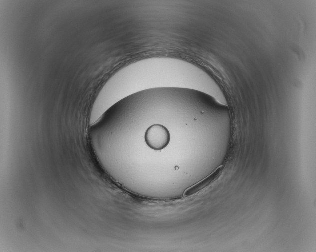 X0000110860029200907021425