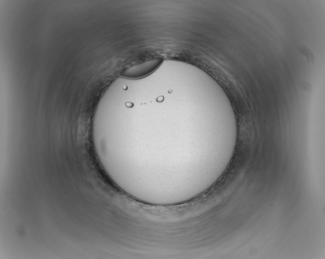 X0000110860030200907021425