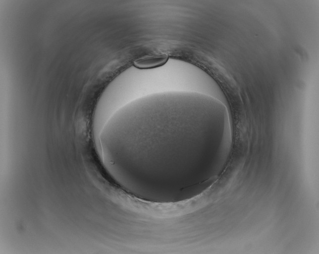 X0000110860031200907021425