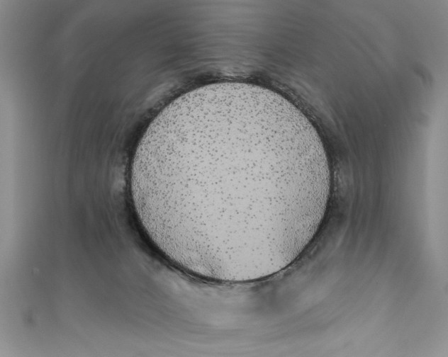 X0000110860032200907021425