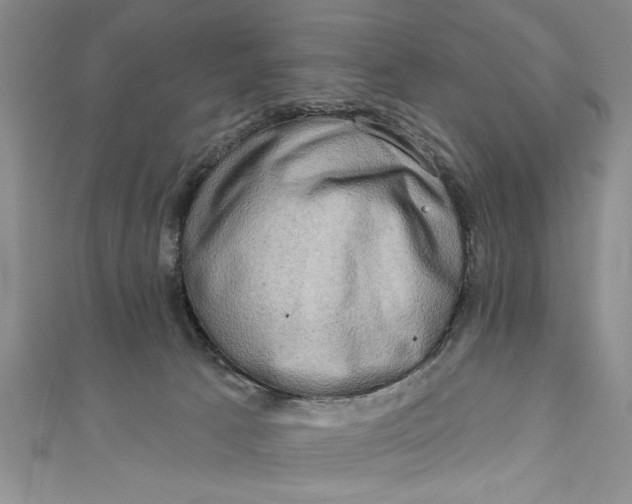 X0000110860033200907021425