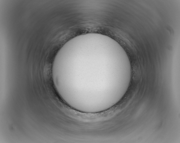 X0000110860034200907021425